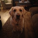 Calum_davidson - @calum_davidson2007 - Instagram