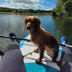 Calum Grant - Facebook
