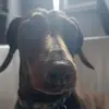 Calum Hall - @calum.hall - TikTok