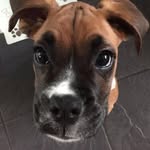 calum Moore - @calum_moore567 - Instagram