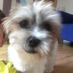 Calum Ray Smith - @calumraysmith - Instagram