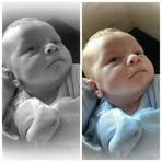 Callum Reed - Facebook