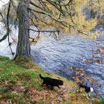 Calum Russell - @traditionaloutdoorskills - Instagram