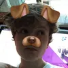 Calum Taylor - @calum_taylorr - TikTok
