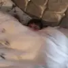 calumthomashamill - @calumthomashamill - TikTok