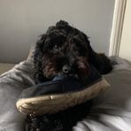 Calum Thomson - Facebook