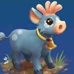Callum Weaver - Facebook