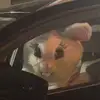 Cal_egbert - @cal_egbert - TikTok