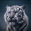 William - @calvertmoore - TikTok