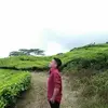 CalvinAbram - @calvinabram88 - TikTok