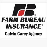 Calvin Carey Agency - @calvincareyagency - Instagram