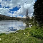 calvin allred - @calvin.allred - Instagram