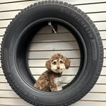 Calvin Arthur - @calvinthetriphantom - Instagram