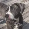 CalvinBacon - @calvinbacon8 - TikTok