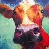 calvinbarker38 - @calvin.barker71 - TikTok