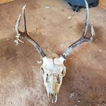 Calvin Barlow - @cal.bar16 - Instagram