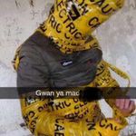 Calvin Barry - @calvinbarry5 - Instagram