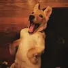 Calvin - @calvinbarry - TikTok