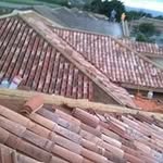 Calvin Barton - @calvin.barton.56 - Instagram