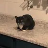 Calvin Barton - @calvin.barton4 - TikTok