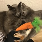 Calvin And Benson - @calvinandbenson - Instagram