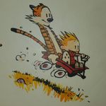 Calvin Brock - @tigerslovetunafish - Instagram