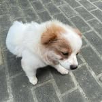 Calvin - @_calvin.butler_ - Instagram