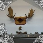 Calvin Calhoun - @calvin.calhoun.5268 - Instagram