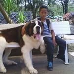 Mark Calvin Castillo - @markcalvincastillo - Instagram