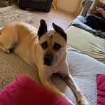 Calvin clarke - @calvin_clarke_ - Instagram