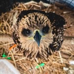 Calvin Clicks - @calvin_clickss - Instagram