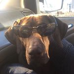 Calvin Cox - @lol_my_cactus_just_died1017 - Instagram