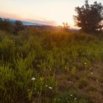 Calvin Creech - @creecho_06 - Instagram