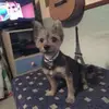 Edu Cuevas.calvin - @edu.cuevas.calvin - TikTok