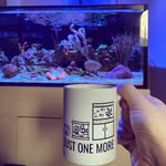 Calvin Curry - @reefingwithcalvin - Instagram