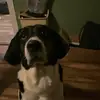 Calvin Cusack - @aspen555123 - TikTok