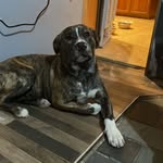 Calvin Cutts - @herculesthe_mix - Instagram