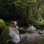 Calvin Daniel - @_caleldnd - Instagram
