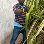 Calvin Daniel Payne - Facebook