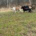 Calvin Taubert - Facebook