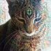 Calvin Day - Facebook