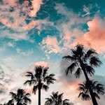 Calvin De Leon - @mr.ck.deleon - Instagram