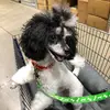 Calvin.Duville - @calvin.duville - TikTok