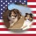 Calvin Carol Dirksen - Facebook