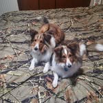 Calvin Carol Dirksen - @calvindirksen - Instagram