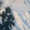 calvinadoss - @calvinadoss1 - TikTok