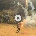 Calvin Dowse - @calvin_dowse2007 - Instagram