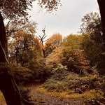 Calvin - @calvinduffus - Instagram