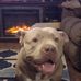 Calvin Dulaney - Facebook