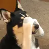 Calvinderst - @calvinderst - TikTok